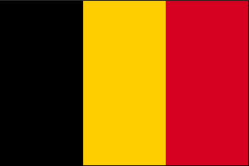 Résultat de recherche d'images pour "drapeau belge lessines"